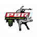 pbr logo